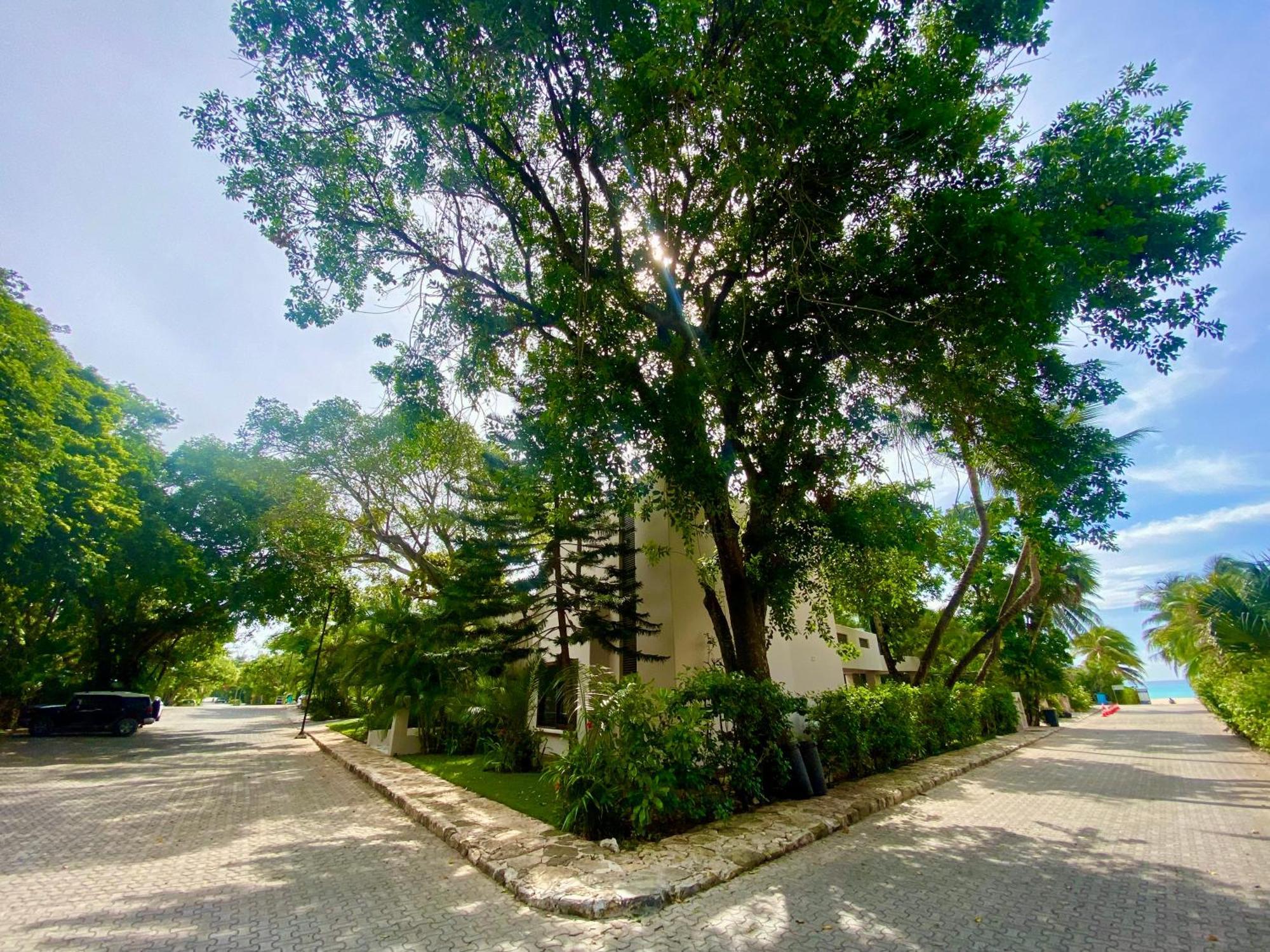 Villa Almendra Playacar 1 Playa del Carmen Esterno foto